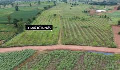 ขายที่ดิน 93 ไร่ (มีโฉนดครุฑแดง) — ไร่ละ 120,000 บาท จ.ขอนแก่น-202508161024571755314697284.jpeg