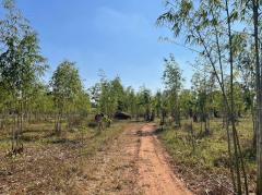 ขายที่ดิน 93 ไร่ (มีโฉนดครุฑแดง) — ไร่ละ 120,000 บาท จ.ขอนแก่น-202508161025071755314707539.jpg