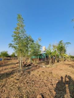 ขายที่ดิน 93 ไร่ (มีโฉนดครุฑแดง) — ไร่ละ 120,000 บาท จ.ขอนแก่น-202508161025261755314726708.jpg