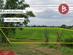 ขายที่ดินเปล่า-เนื้อที่-20-ไร่-94.8-ตารา