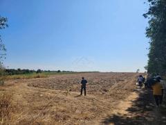 ขายที่ดินแปลงใหญ่ ถนนสาย304 อำเภอพนมสารคาม จังหวัดฉะเชิงเทรา เนื้อที่ 43 ไร่.กว่า ที่ดินติดถนน ขายที่ดินแปลงใหญ่-ถนนสาย304-อำเภอพนม