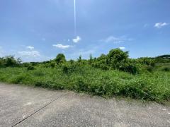 94793 ขายด่วน! ที่ดินเปล่า 200 ตร.ว. หมู่บ้านปิ่นทองแลนด์ แฟคทอรี่ อ.บางบัวทอง จ.นนทบุรี-202508161600411755334841035.jpg
