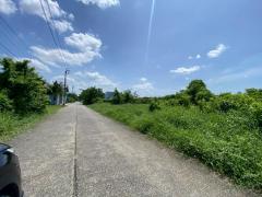 94793 ขายด่วน! ที่ดินเปล่า 200 ตร.ว. หมู่บ้านปิ่นทองแลนด์ แฟคทอรี่ อ.บางบัวทอง จ.นนทบุรี-202508161600421755334842720.jpg