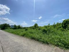 94793 ขายด่วน! ที่ดินเปล่า 200 ตร.ว. หมู่บ้านปิ่นทองแลนด์ แฟคทอรี่ อ.บางบัวทอง จ.นนทบุรี-202508161600431755334843280.jpg