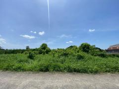 94793 ขายด่วน! ที่ดินเปล่า 200 ตร.ว. หมู่บ้านปิ่นทองแลนด์ แฟคทอรี่ อ.บางบัวทอง จ.นนทบุรี-202508161600431755334843843.jpg