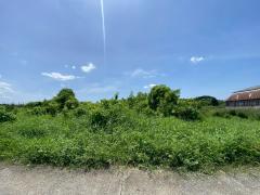 94793 ขายด่วน! ที่ดินเปล่า 200 ตร.ว. หมู่บ้านปิ่นทองแลนด์ แฟคทอรี่ อ.บางบัวทอง จ.นนทบุรี-202508161600441755334844973.jpg