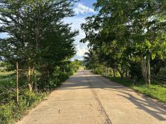 ขาย ที่ดิน วิวเขา ใกล้เขื่อนลำตะคอง ต.หนองหญ้าขาว อ.สีคิ้ว จ.นครราชสีมา อยู่ใกล้ร้านอาหาร คาเฟ่-202508162127171755354437734.jpg