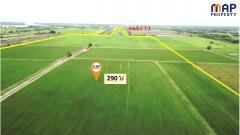 ขายที่ดินแปลงใหญ่ ติดถนน 2 ด้านหัวท้าย 290 ไร่-202508162133221755354802079.jpg