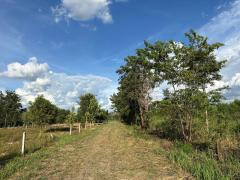 ขาย ที่ดินวิวสวย ที่อยู่เนินเขา ต.หนองหญ้าขาว อ.สีคิ้ว จ.นครราชสีมา ใกล้เขื่อนลำตะคอง-202508162216531755357413803.jpg