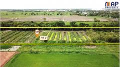 ขายที่ดินสวนเกษตรผสมผสาน  44 ไร่ ติดถนนเลียบ คลอง 13-202508162247231755359243675.jpg