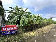 ที่ดิน - 800 ตร.วา  30000000 THAI BAHT ดี-งาม นนทบุรี   