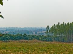 ขาย ที่ดินอยู่บนเนิน มองเห็นวิวด้านล่างรอบทิศทาง ใกล้เขื่อนลำตะคอง ต.หนองหญ้าขาว อ.สีคิ้ว จ.นครราชสีมา