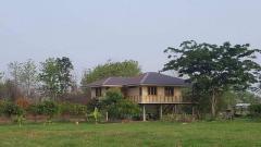พื้นที่ดิน -  2 RAI 1 ngan 5 ตรว. 2300000 BAHT ใกล้กับ ตัวเมืองพิจิตร !!!
