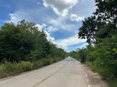 ขาย ที่ดิน ติดถนนลาดยาง ติดถนน 2 ด้าน  ต.หนองหญ้าขาว  อ.สีคิ้ว จ.นครราชสีมา ใกล้เขื่อนลำตะคอง-202508170049541755366594884.jpg