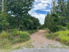 ขาย ที่ดิน ติดถนนลาดยาง ติดถนน 2 ด้าน  ต.หนองหญ้าขาว  อ.สีคิ้ว จ.นครราชสีมา ใกล้เขื่อนลำตะคอง-202508170049581755366598993.jpg