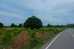 ขายที่ดินตำบลวังโรงใหญ่อำเภอสีคิ้วนครราชสีมา ขนาดที่ดิน 12 ไร่ 2 งาน 38 ตร.ว ขาย-202508171129531755404993087.jpeg