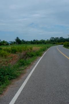 ขายที่ดินตำบลวังโรงใหญ่อำเภอสีคิ้วนครราชสีมา ขนาดที่ดิน 12 ไร่ 2 งาน 38 ตร.ว ขาย-202508171129541755404994020.jpeg