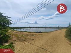 ขายที่ดิน เนื้อที่ 20 ไร่ กำแพงแสน นครปฐม-202508171158121755406692336.jpg
