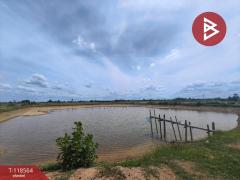 ขายที่ดิน เนื้อที่ 20 ไร่ กำแพงแสน นครปฐม-202508171158131755406693925.jpg