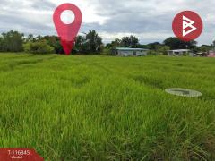 ขายที่ดิน เนื้อที่ 4 ไร่ 3 งาน 15 ตร.วา ในเมือง หนองคาย-202508171212521755407572760.jpg