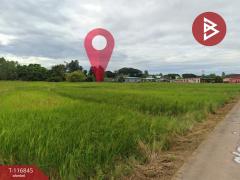 ขายที่ดิน เนื้อที่ 4 ไร่ 3 งาน 15 ตร.วา ในเมือง หนองคาย-202508171212531755407573295.jpg