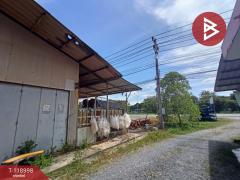 ขายโกดังพร้อมที่ดิน เนื้อที่ 1 งาน 2 ตร.วา ชะอวด นครศรีธรรมราช-202508171248561755409736143.jpg