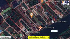 ที่ดินใกล้แม่น้ำท่าจีน หน้าที่ดินติดถนนสาธารณะยาวถึง 175 เมตร-202508171601101755421270873.jpg