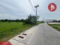 ขายที่ดิน เนื้อที่ 3 ไร่ 3 งาน 7.8 ตารางวา อ.พานทอง ชลบุรี-202508171640541755423654896.jpg