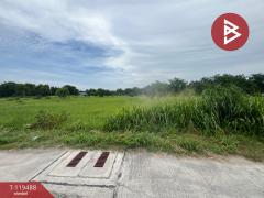 ขายที่ดิน เนื้อที่ 3 ไร่ 3 งาน 7.8 ตารางวา อ.พานทอง ชลบุรี-202508171640551755423655971.jpg