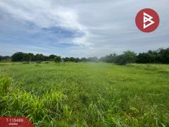 ขายที่ดิน เนื้อที่ 3 ไร่ 3 งาน 7.8 ตารางวา อ.พานทอง ชลบุรี-202508171640561755423656514.jpg