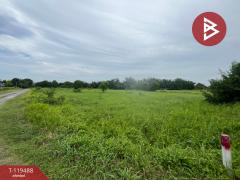 ขายที่ดิน เนื้อที่ 3 ไร่ 3 งาน 7.8 ตารางวา อ.พานทอง ชลบุรี-202508171640571755423657053.jpg