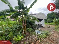 ขายที่ดิน เนื้อที่ 98 ตร.วา บางขุนเทียน กรุงเทพมหานคร-202508171714371755425677580.jpg
