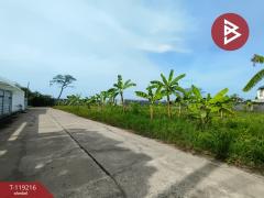ขายที่ดิน เนื้อที่ 76 ตร.วา ปากเกร็ด นนทบุรี-202508171733401755426820242.jpg