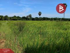 ขายที่ดิน-เนื้อที่-14-ไร่-24-ตร.วา-กันทร