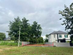ขายที่ดินเปล่าแปลงสวย อำเภอสันทราย ใกล้มหาวิทยาลัยแม่โจ้-202508181201151755493275605.jpg