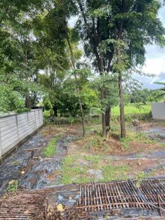 ขายที่ดินเปล่าแปลงสวย อำเภอสันทราย ใกล้มหาวิทยาลัยแม่โจ้-202508181201171755493277555.jpg