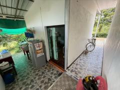 ขายที่ดินพร้อมสิ่งปลูกสร้าง ขนาด 6-3-5 ไร่ บ้านสวน ร่มรื่น ทำเลดี เดินทางสะดวก ต.พิชัย อ.เมืองลำปาง -202508181417391755501459072.jpg