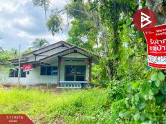 ขายที่ดินพร้อมบ้านเดี่ยว เนื้อที่ 3 งาน 82.4 ตร.วา อัมพวา สมุทรสงคราม-202508181447541755503274772.jpg