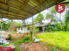 ขายที่ดินพร้อมบ้านเดี่ยว เนื้อที่ 3 งาน 82.4 ตร.วา อัมพวา สมุทรสงคราม-202508181448011755503281482.jpg