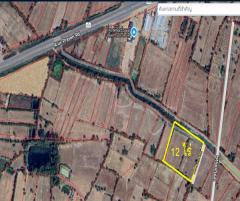  โอกาสสำหรับคนอยากมีที่ทำเกษตร  ที่ดิน 12 ไร่ เมืองทุ่ง อ.สุวรรณภูมิ จ.ร้อยเอ็ด-202508181522431755505363544.jpg