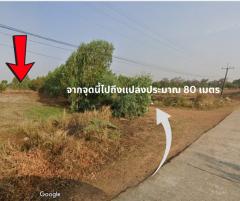  โอกาสสำหรับคนอยากมีที่ทำเกษตร  ที่ดิน 12 ไร่ เมืองทุ่ง อ.สุวรรณภูมิ จ.ร้อยเอ็ด-202508181522441755505364226.jpg