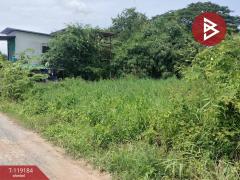 ขายที่ดิน เนื้อที่ 47.7 ตร.วา อรัญญิก พิษณุโลก-202508181541291755506489803.jpg