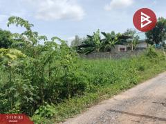 ขายที่ดิน เนื้อที่ 47.7 ตร.วา อรัญญิก พิษณุโลก-202508181541301755506490895.jpg