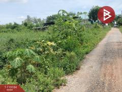 ขายที่ดิน เนื้อที่ 47.7 ตร.วา อรัญญิก พิษณุโลก-202508181541311755506491429.jpg