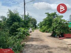ขายที่ดิน เนื้อที่ 47.7 ตร.วา อรัญญิก พิษณุโลก-202508181541311755506491964.jpg