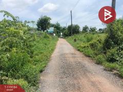 ขายที่ดิน เนื้อที่ 47.7 ตร.วา อรัญญิก พิษณุโลก-202508181541321755506492492.jpg