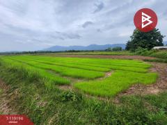 ขายที่ดิน เนื้อที่ 4 ไร่ 98 ตร.วา ท่าจำปี พะเยา-202508181602511755507771005.jpg