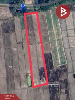 ขายที่ดิน เนื้อที่ 4 ไร่ 98 ตร.วา ท่าจำปี พะเยา-202508181602521755507772183.jpg