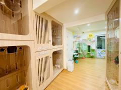ขายอาคารพานิชย์  4.5 ชั้น เนื้อที่ 16.6 ตรว.  ริมถนนอ่อนนุช  รีโนเวทภายในแล้ว พร้อมอยู่-202508190105401755540340585.jpeg