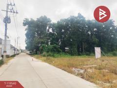 ขายที่ดิน เนื้อที่ 3 ไร่ 3 งาน 88.6 ตร.วา ท่าช้าง จันทบุรี-202508190949521755571792720.jpg